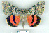 ( - 8063-240709-KA)  @13 [ ] Unspecified (default): All Rights Reserved  Unspecified Unspecified