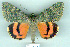  ( - 8066-050701-UZ)  @13 [ ] Unspecified (default): All Rights Reserved  Unspecified Unspecified