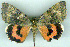 ( - 8067-280700-TI)  @11 [ ] Unspecified (default): All Rights Reserved  Unspecified Unspecified