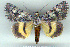  ( - 8069-060708-TU)  @13 [ ] Unspecified (default): All Rights Reserved  Unspecified Unspecified