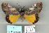  ( - 8072-131093-KE)  @13 [ ] Unspecified (default): All Rights Reserved  Unspecified Unspecified