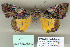  ( - 8074-201004-TA)  @13 [ ] Unspecified (default): All Rights Reserved  Unspecified Unspecified