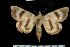  ( - 8081-050697-TU)  @11 [ ] Unspecified (default): All Rights Reserved  Unspecified Unspecified