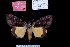  ( - 8085-050602-MY)  @13 [ ] Unspecified (default): All Rights Reserved  Unspecified Unspecified