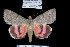  ( - 8089-050697-TU)  @11 [ ] Unspecified (default): All Rights Reserved  Unspecified Unspecified