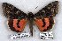  ( - 5916-160799-CA)  @11 [ ] Unspecified (default): All Rights Reserved  Unspecified Unspecified