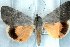  ( - 5926-300595-TX)  @13 [ ] Unspecified (default): All Rights Reserved  Unspecified Unspecified