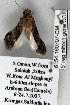  ( - 6154-160707-OM)  @12 [ ] Unspecified (default): All Rights Reserved  Unspecified Unspecified