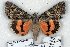  ( - 6088-250806-TA)  @14 [ ] Unspecified (default): All Rights Reserved  Unspecified Unspecified