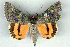  ( - 6029-200762-AF)  @13 [ ] Unspecified (default): All Rights Reserved  Unspecified Unspecified