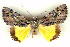  ( - 6012-151106-TA)  @13 [ ] Unspecified (default): All Rights Reserved  Unspecified Unspecified