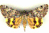  ( - 6046-080798-PA)  @14 [ ] Unspecified (default): All Rights Reserved  Unspecified Unspecified