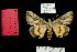  (Catocala hariti - 6011-150601-UZ)  @13 [ ] Unspecified (default): All Rights Reserved  Unspecified Unspecified