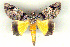  ( - 6048-150708-RW)  @14 [ ] Unspecified (default): All Rights Reserved  Unspecified Unspecified