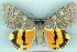  ( - 6026-120805-PA)  @14 [ ] Unspecified (default): All Rights Reserved  Unspecified Unspecified