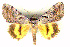  ( - 6047-250506-SP)  @15 [ ] Unspecified (default): All Rights Reserved  Unspecified Unspecified
