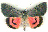 ( - 6021-150805-CH)  @11 [ ] Unspecified (default): All Rights Reserved  Unspecified Unspecified