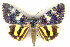  (Catocala naumanni - 6041-160705-CH)  @14 [ ] Unspecified (default): All Rights Reserved  Unspecified Unspecified