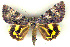  ( - 6039-160705-CH)  @14 [ ] Unspecified (default): All Rights Reserved  Unspecified Unspecified