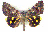  ( - 6040-210706-IN)  @14 [ ] Unspecified (default): All Rights Reserved  Unspecified Unspecified