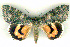  ( - 6015-040997-IN)  @13 [ ] Unspecified (default): All Rights Reserved  Unspecified Unspecified