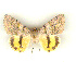  ( - 6016-290806-TA)  @13 [ ] Unspecified (default): All Rights Reserved  Unspecified Unspecified