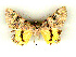  ( - 6138-140808-TA)  @13 [ ] Unspecified (default): All Rights Reserved  Unspecified Unspecified