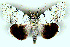  ( - 6044-060708-TU)  @14 [ ] Unspecified (default): All Rights Reserved  Unspecified Unspecified