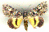  ( - 6049-250605-IR)  @13 [ ] Unspecified (default): All Rights Reserved  Unspecified Unspecified