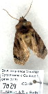  ( - 7029-COI-09)  @12 [ ] Unspecified (default): All Rights Reserved  Unspecified Unspecified
