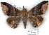  ( - 7058-COI-09)  @14 [ ] Unspecified (default): All Rights Reserved  Unspecified Unspecified