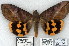  (Othreis - 7062-COI-09)  @13 [ ] Unspecified (default): All Rights Reserved  Unspecified Unspecified