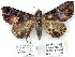  (Metria sp. 1 - 7094-COI-09)  @14 [ ] Unspecified (default): All Rights Reserved  Unspecified Unspecified