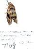  ( - 7108-COI-09)  @12 [ ] Unspecified (default): All Rights Reserved  Unspecified Unspecified