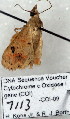  ( - 7113-COI-09)  @12 [ ] Unspecified (default): All Rights Reserved  Unspecified Unspecified