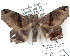  ( - 7159-COI-09)  @13 [ ] Unspecified (default): All Rights Reserved  Unspecified Unspecified