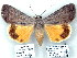  ( - 7304-COI-09)  @14 [ ] Unspecified (default): All Rights Reserved  Unspecified Unspecified