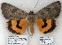  ( - 7305-COI-09)  @14 [ ] Unspecified (default): All Rights Reserved  Unspecified Unspecified