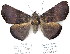  ( - 7336-COI-09)  @12 [ ] Unspecified (default): All Rights Reserved  Unspecified Unspecified