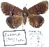  ( - 7354-COI-09)  @14 [ ] Unspecified (default): All Rights Reserved  Unspecified Unspecified