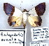  ( - 7358-COI-09)  @13 [ ] Unspecified (default): All Rights Reserved  Unspecified Unspecified
