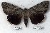 ( - 7373-COI-09)  @13 [ ] Unspecified (default): All Rights Reserved  Unspecified Unspecified