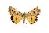  ( - 9003-020700-IR)  @11 [ ] Unspecified (default): All Rights Reserved  Unspecified Unspecified