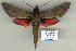  ( - 9041-170110-YE)  @14 [ ] Unspecified (default): All Rights Reserved  Unspecified Unspecified