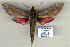  ( - 9042-170110-YE)  @14 [ ] Unspecified (default): All Rights Reserved  Unspecified Unspecified