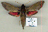  ( - 9043-190110-YE)  @14 [ ] Unspecified (default): All Rights Reserved  Unspecified Unspecified