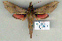 ( - 9046-090110-YE)  @14 [ ] Unspecified (default): All Rights Reserved  Unspecified Unspecified