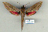  ( - 9048-151206-TA)  @14 [ ] Unspecified (default): All Rights Reserved  Unspecified Unspecified
