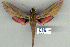  ( - 9049-151206-TA)  @14 [ ] Unspecified (default): All Rights Reserved  Unspecified Unspecified
