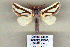  (Mormogystia - 9050-140110-YE)  @13 [ ] Unspecified (default): All Rights Reserved  Unspecified Unspecified